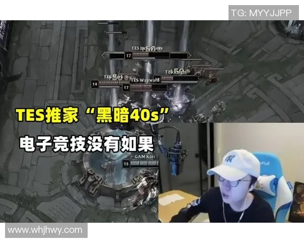 电竞数据赛后复盘TES与WE对决状态分析及未来展望
